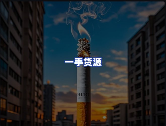 专业团队
